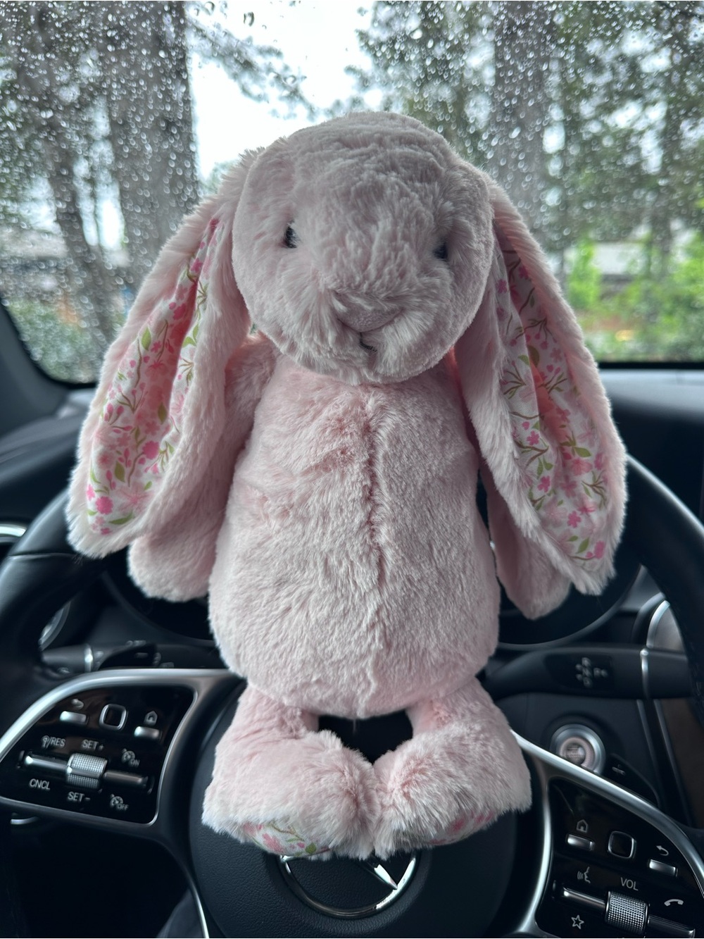 Jellycat Blush Blossom Bunny “Cherry” Medium Sized